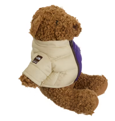 Supreme The North Face Bear Tan – Wpgsneaker