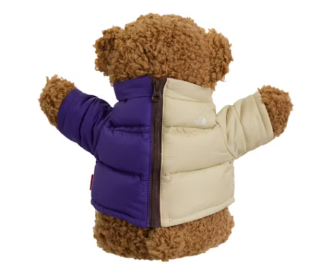 Supreme The North Face Bear Tan