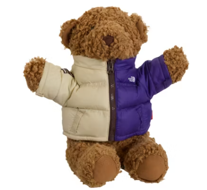 【supreme×THE NORTH FACE】Bear Tan AA_27bb381c-d95d-4611-aaa3-